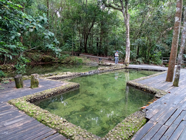 Бассейн ЭКО отеля (Permai Rainforest Resort)